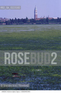 Localizzazione:..VENEZIA..Oggetto:..Soggetto:..INVASIONE DI ALGHE IN LAGUNA / CAMPANILE DI SAN MARCO..Cronologia: ..Definizione Culturale:..   Autore: ..   Stile: ..   Editori/Stampatori:..   Committenza:..Materia e Tecnica:..Collocazione:..Note:..PROBLEMI INQUINAMENTO..Riproduzione Fotografica:..Graziano Arici/Rosebud2 .Copyright:..Graziano Arici/Rosebud2 .Data:..1990..Costo:..A