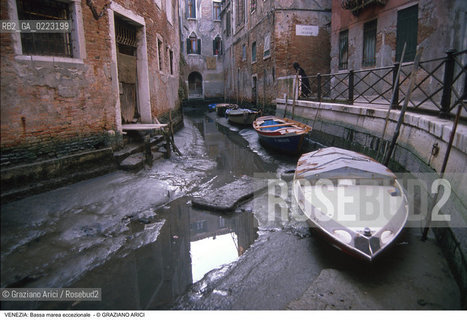 Localizzazione:..VENEZIA..Oggetto:..Soggetto:..BASSA MAREA ECCEZIONALE NEI CANALI..Cronologia: ..Definizione Culturale:..   Autore: ..   Stile: ..   Editori/Stampatori:..   Committenza:..Materia e Tecnica:..Collocazione:..Note:..PROBLEMI..Riproduzione Fotografica:..Graziano Arici/Rosebud2 .Copyright:..Graziano Arici/Rosebud2 .Data:..1989..Costo:..A..