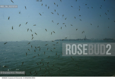 Localizzazione:..VENEZIA..Oggetto:..Soggetto:..INVASIONE DI CHIRONOMIDI..Cronologia: ..Definizione Culturale:..   Autore: ..   Stile: ..   Editori/Stampatori:..   Committenza:..Materia e Tecnica:..Collocazione:..Note:..PROBLEMI..Riproduzione Fotografica:..Graziano Arici/Rosebud2 .Copyright:..Graziano Arici/Rosebud2 .Data:..1985..Costo:..A