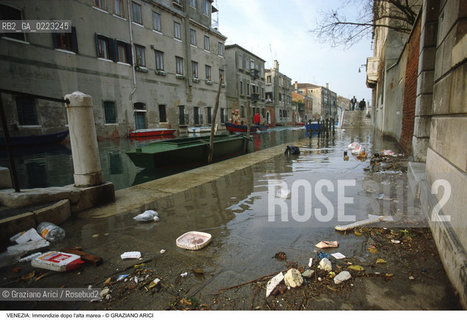 Localizzazione:..VENEZIA..Oggetto:..Soggetto:..IMMONDIZIE DOPO L ALTA MAREA..Cronologia: ..Definizione Culturale:..   Autore: ..   Stile: ..   Editori/Stampatori:..   Committenza:..Materia e Tecnica:..Collocazione:..Note:..PROBLEMI INQUINAMENTO DEGRADO URBANO..Riproduzione Fotografica:..Graziano Arici/Rosebud2 .Copyright:..Graziano Arici/Rosebud2 .Data:..1988..Costo:..A..