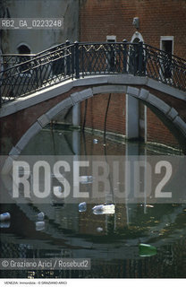 Localizzazione:..VENEZIA..Oggetto:..Soggetto:..IMMONDIZIE NEI CANALI..Cronologia: ..Definizione Culturale:..   Autore: ..   Stile: ..   Editori/Stampatori:..   Committenza:..Materia e Tecnica:..Collocazione:..Note:..PROBLEMI INQUINAMENTO DEGRADO URBANO..Riproduzione Fotografica:..Graziano Arici/Rosebud2 .Copyright:..Graziano Arici/Rosebud2 .Data:..1988..Costo:..A..