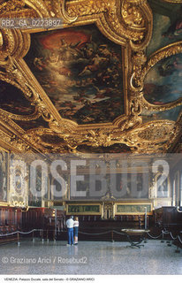 Localizzazione:..VENEZIA / S. MARCO..Oggetto:..Soggetto:..PALAZZO DUCALE / SALA DEL SENATO..Cronologia: ..XVI SEC..Definizione Culturale:..   Autore: ANTONIO DA PONTE..CRISTOFORO SORTE (CORNICI)..DOMENICO E JACOPO TINTORETTO..   Stile: ..   Editori/Stampatori:..   Committenza:..Materia e Tecnica:..Collocazione:..Note:....Riproduzione Fotografica:..Graziano Arici/Rosebud2 .Copyright:..Graziano Arici/Rosebud2 .Data:..1997..Costo:..A..