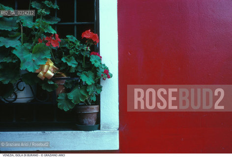 Localizzazione:..VENEZIA / ISOLA DI BURANO..Oggetto:..Soggetto:..FIORI ROSSO..Cronologia: ....Definizione Culturale:..   Autore: ..   Stile: ..   Editori/Stampatori:..   Committenza:..Materia e Tecnica:..Collocazione:..Note:....Riproduzione Fotografica:..Graziano Arici/Rosebud2 .Copyright:..Graziano Arici/Rosebud2 .Data:..1995..Costo:..A..