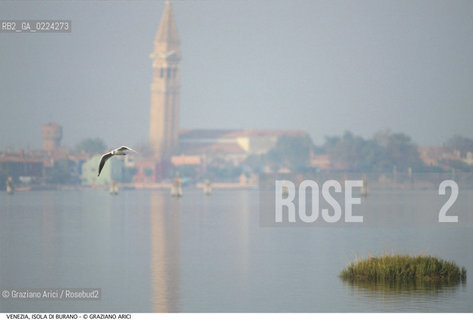 Localizzazione:..VENEZIA / ISOLA DI BURANO..Oggetto:..Soggetto:..LAGUNA / GABBIANO..Cronologia: ....Definizione Culturale:..   Autore: ..   Stile: ..   Editori/Stampatori:..   Committenza:..Materia e Tecnica:..Collocazione:..Note:....Riproduzione Fotografica:..Graziano Arici/Rosebud2 .Copyright:..Graziano Arici/Rosebud2 .Data:..1995..Costo:..A..