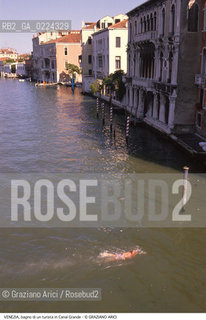 Localizzazione:..VENEZIA / DORSODURO ..Oggetto:..Soggetto:..BAGNO DI UN TURISTA IN CANAL GRANDE..Cronologia: ....Definizione Culturale:..   Autore: ..   Stile:..   Editori/Stampatori:..   Committenza:..Materia e Tecnica:..Collocazione:..Note:..BARCHE E CANALI..Riproduzione Fotografica:..Graziano Arici/Rosebud2 .Copyright:..Graziano Arici/Rosebud2 .Data:..1995..Costo:..A..