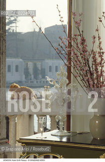 Localizzazione:..VENEZIA / S. MARCO..Oggetto:..Soggetto:..HOTEL GRITTI PALACE / SUITE ERNEST HEMINGWAY / WOODY ALLEN / GATTO FONDAZIONE GUGGENHEIM..Cronologia: ....Definizione Culturale:..   Autore: ..   Stile:..   Editori/Stampatori:..   Committenza:..Materia e Tecnica:..Collocazione:..Note:..ALBERGHI..Riproduzione Fotografica:..Graziano Arici/Rosebud2 .Copyright:..Graziano Arici/Rosebud2 .Data:..1990..Costo:..A..