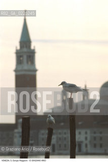 Localizzazione:..VENEZIA / S. MARCO..Oggetto:..Soggetto:..CHIESA DI S. GIORGIO MAGGIORE / GABBIANO..Cronologia: ....Definizione Culturale:..   Autore: ....   Stile:....   Editori/Stampatori:..   Committenza:..Materia e Tecnica:..Collocazione:..Note:..MONUMENTALE..Riproduzione Fotografica:..Graziano Arici/Rosebud2 .Copyright:..Graziano Arici/Rosebud2 .Data:..1995..Costo:..A..