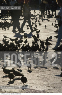 Localizzazione:..VENEZIA / S. MARCO..Oggetto:..Soggetto:..PIAZZA SAN MARCO / COLOMBI ..Cronologia: ....Definizione Culturale:..   Autore: ....   Stile:....   Editori/Stampatori:..   Committenza:..Materia e Tecnica:....Collocazione:..Note:..MONUMENTALE..Riproduzione Fotografica:..Graziano Arici/Rosebud2 .Copyright:..Graziano Arici/Rosebud2 .Data:..1990..Costo:..A..