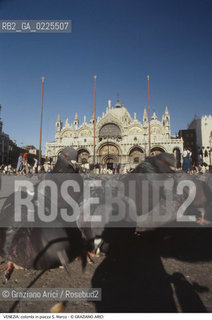 Localizzazione:..VENEZIA / S. MARCO..Oggetto:..Soggetto:..PIAZZA SAN MARCO / COLOMBI BASILICA ..Cronologia: ....Definizione Culturale:..   Autore: ....   Stile:....   Editori/Stampatori:..   Committenza:..Materia e Tecnica:....Collocazione:..Note:..MONUMENTALE..Riproduzione Fotografica:..Graziano Arici/Rosebud2 .Copyright:..Graziano Arici/Rosebud2 .Data:..1990..Costo:..A..