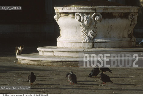 Localizzazione:..VENEZIA / CANNAREGIO..Oggetto:..Soggetto:..VERA DA POZZO A S. MARCUOLA / COLOMBI SUI MASEGNI..Cronologia: ..XVIII SECOLO..Definizione Culturale:..   Autore: ....   Stile:....   Editori/Stampatori:..   Committenza:..Materia e Tecnica:..PIETRA D ISTRIA..Collocazione:..Note:..MONUMENTALE..Riproduzione Fotografica:..Graziano Arici/Rosebud2 .Copyright:..Graziano Arici/Rosebud2 .Data:..1995..Costo:..A..