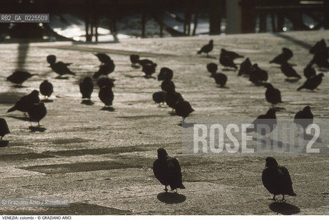 Localizzazione:..VENEZIA..Oggetto:..Soggetto:..COLOMBI SUI MASEGNI..Cronologia: ....Definizione Culturale:..   Autore: ....   Stile:....   Editori/Stampatori:..   Committenza:..Materia e Tecnica:..PIETRA D ISTRIA..Collocazione:..Note:..MONUMENTALE..Riproduzione Fotografica:..Graziano Arici/Rosebud2 .Copyright:..Graziano Arici/Rosebud2 .Data:..1995..Costo:..A..