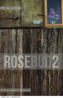 Localizzazione:..VENEZIA..Oggetto:..Soggetto:..LEGNO..Cronologia: ....Definizione Culturale:..   Autore: ....   Stile:....   Editori/Stampatori:..   Committenza:..Materia e Tecnica:....Collocazione:..Note:..MONUMENTALE..Riproduzione Fotografica:..Graziano Arici/Rosebud2 .Copyright:..Graziano Arici/Rosebud2 .Data:..1995..Costo:..A..