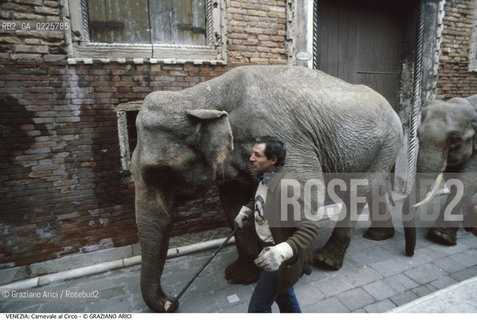 Localizzazione:..VENEZIA / S. MARCO..Oggetto:..Soggetto:..CARNEVALE CIRCO ELEFANTE..Cronologia: ....Definizione Culturale:..   Autore: ....   Stile:....   Editori/Stampatori:..   Committenza:..Materia e Tecnica:....Collocazione:..Note:....Riproduzione Fotografica:..Graziano Arici/Rosebud2 .Copyright:..Graziano Arici/Rosebud2 .Data:..1980..Costo:..A..