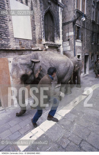 Localizzazione:..VENEZIA / S. MARCO..Oggetto:..Soggetto:..CARNEVALE CIRCO ELEFANTI..Cronologia: ....Definizione Culturale:..   Autore: ....   Stile:....   Editori/Stampatori:..   Committenza:..Materia e Tecnica:....Collocazione:..Note:....Riproduzione Fotografica:..Graziano Arici/Rosebud2 .Copyright:..Graziano Arici/Rosebud2 .Data:..1980..Costo:..A..