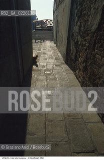 Localizzazione:..VENEZIA / ISOLA DELLA GIUDECCA..Oggetto:..Soggetto:..CALLE / GATTO..Cronologia:.. ..Definizione Culturale:..   Autore:  ..   Stile: ..   Editori/Stampatori:..   Committenza:..Materia e Tecnica:..Collocazione:..Note:..CALLI CAMPI E PONTI..Riproduzione Fotografica:..Copyright:..Graziano Arici/Rosebud2 .Data:..1982..Costo:..A