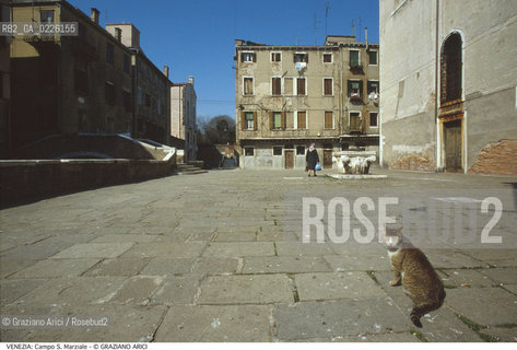 Localizzazione:..VENEZIA / CANNAREGIO..Oggetto:..Soggetto:..CAMPO S. MARZIALE / GATTO..Cronologia: ....Definizione Culturale:..   Autore: ....   Stile:..   Editori/Stampatori:..   Committenza:..Materia e Tecnica:..Collocazione:..Note:..CALLI CAMPI PONTI..Riproduzione Fotografica:..Graziano Arici/Rosebud2 .Copyright:..Graziano Arici/Rosebud2 .Data:..1995..Costo:..A