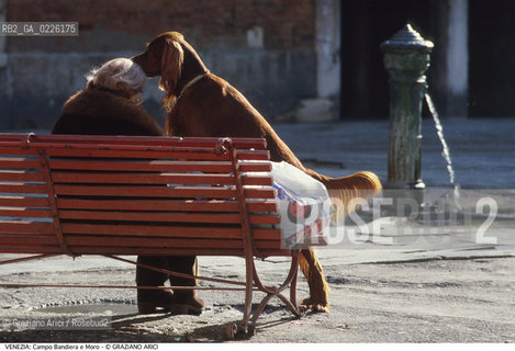 Caption: Localizzazione:..VENEZIA / CASTELLO..Oggetto:..Soggetto:..CAMPO BANDIERA E MORO O DELLA BRAGORA / ANZIANA CANE..Cronologia: ....Definizione Culturale:..   Autore: ..   Stile:..   Editori/Stampatori:..   Committenza:..Materia e Tecnica:..Collocazione:..Note:..CALLI CAMPI PONTI..Riproduzione Fotografica:..Graziano Arici/Rosebud2 .Copyright:..Graziano Arici/Rosebud2 .Data:..1990..Costo:..A