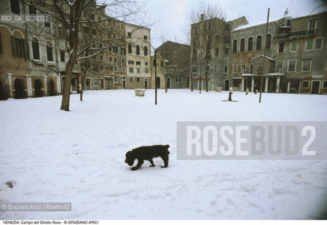 Localizzazione:..VENEZIA / CANNAREGIO..Oggetto:..Soggetto:..NEVE IN CAMPO DEL GHETTO NOVO / CANE..Cronologia: ....Definizione Culturale:..   Autore:....   Stile:..   Editori/Stampatori:..   Committenza:..Materia e Tecnica:....Collocazione:..Note:..INVERNO..Riproduzione Fotografica:..Copyright:..Graziano Arici/Rosebud2 .Data:..1992..Costo:..A