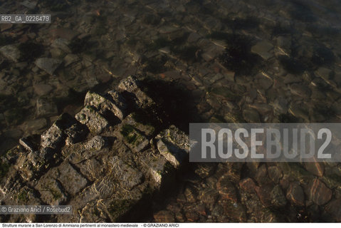 Caption: Nome:..BARENA SITO DI SAN LORENZO IN AMMIANA....Localizzazione:..VENEZIA /  LAGUNA NORD..VENICE /  THE NORTH LAGOON..Soggetto:..Strutture murarie a San Lorenzo di Ammiana pertinenti al monastero medievale..ARCHEOLOGIA..Cronologia:......Autore:......Stile:......Editori Stampatori:......Committenza:......Materia e Tecnica:......Collocazione:......Note:....Riproduzione Fotografica:..Graziano Arici/Rosebud2 ...Copyright:..Graziano Arici / rosebud2/....Data:..1993....Costo:..A....Key:..ISOLE ABBANDONATE..UNINHABITED ISLANDS
