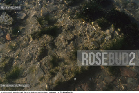 Caption: Nome:..BARENA SITO DI SAN LORENZO IN AMMIANA....Localizzazione:..VENEZIA /  LAGUNA NORD..VENICE /  THE NORTH LAGOON..Soggetto:..Strutture murarie a San Lorenzo di Ammiana pertinenti al monastero medievale..ARCHEOLOGIA..Cronologia:......Autore:......Stile:......Editori Stampatori:......Committenza:......Materia e Tecnica:......Collocazione:......Note:....Riproduzione Fotografica:..Graziano Arici/Rosebud2 ...Copyright:..Graziano Arici / rosebud2/....Data:..1993....Costo:..A....Key:..ISOLE ABBANDONATE..UNINHABITED ISLANDS
