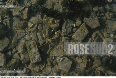 Caption: Nome:..BARENA SITO DI SAN LORENZO IN AMMIANA....Localizzazione:..VENEZIA /  LAGUNA NORD..VENICE /  THE NORTH LAGOON..Soggetto:..Strutture murarie a San Lorenzo di Ammiana pertinenti al monastero medievale..ARCHEOLOGIA..Cronologia:......Autore:......Stile:......Editori Stampatori:......Committenza:......Materia e Tecnica:......Collocazione:......Note:....Riproduzione Fotografica:..Graziano Arici/Rosebud2 ...Copyright:..Graziano Arici / rosebud2/....Data:..1993....Costo:..A....Key:..ISOLE ABBANDONATE..UNINHABITED ISLANDS