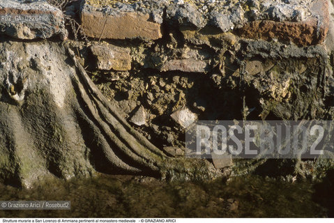 Caption: Nome:..BARENA SITO DI SAN LORENZO IN AMMIANA....Localizzazione:..VENEZIA /  LAGUNA NORD..VENICE /  THE NORTH LAGOON..Soggetto:..Strutture murarie a San Lorenzo di Ammiana pertinenti al monastero medievale..ARCHEOLOGIA..Cronologia:......Autore:......Stile:......Editori Stampatori:......Committenza:......Materia e Tecnica:......Collocazione:......Note:....Riproduzione Fotografica:..Graziano Arici/Rosebud2 ...Copyright:..Graziano Arici / rosebud2/....Data:..1993....Costo:..A....Key:..ISOLE ABBANDONATE..UNINHABITED ISLANDS
