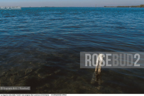 Caption: Nome:..BARENA SITO DI SAN LORENZO IN AMMIANA....Localizzazione:..VENEZIA /  LAGUNA NORD..VENICE /  THE NORTH LAGOON..Soggetto:..La laguna vista dalla “motta” ove sorgeva San Lorenzo di Ammiana..ARCHEOLOGIA..Cronologia:......Autore:......Stile:......Editori Stampatori:......Committenza:......Materia e Tecnica:......Collocazione:......Note:....Riproduzione Fotografica:..Graziano Arici/Rosebud2 ...Copyright:..Graziano Arici / rosebud2/....Data:..1993....Costo:..A....Key:..ISOLE ABBANDONATE..UNINHABITED ISLANDS