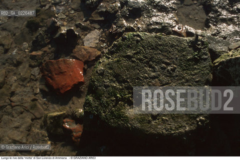 Caption: Nome:..BARENA SITO DI SAN LORENZO IN AMMIANA....Localizzazione:..VENEZIA /  LAGUNA NORD..VENICE /  THE NORTH LAGOON..Soggetto:..Lungo le rive della “motta” di San Lorenzo di Ammiana...ARCHEOLOGIA..Cronologia:......Autore:......Stile:......Editori Stampatori:......Committenza:......Materia e Tecnica:......Collocazione:......Note:....Riproduzione Fotografica:..Graziano Arici/Rosebud2 ...Copyright:..Graziano Arici / rosebud2/....Data:..1993....Costo:..A....Key:..ISOLE ABBANDONATE..UNINHABITED ISLANDS