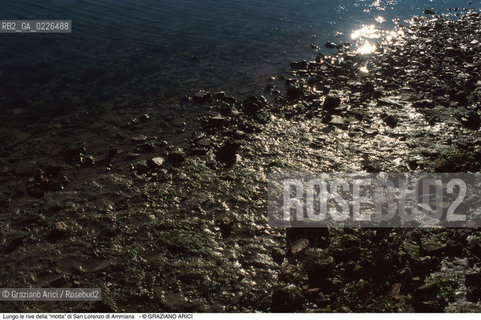 Caption: Nome:..BARENA SITO DI SAN LORENZO IN AMMIANA....Localizzazione:..VENEZIA /  LAGUNA NORD..VENICE /  THE NORTH LAGOON..Soggetto:..Lungo le rive della “motta” di San Lorenzo di Ammiana...ARCHEOLOGIA..Cronologia:......Autore:......Stile:......Editori Stampatori:......Committenza:......Materia e Tecnica:......Collocazione:......Note:....Riproduzione Fotografica:..Graziano Arici/Rosebud2 ...Copyright:..Graziano Arici / rosebud2/....Data:..1993....Costo:..A....Key:..ISOLE ABBANDONATE..UNINHABITED ISLANDS