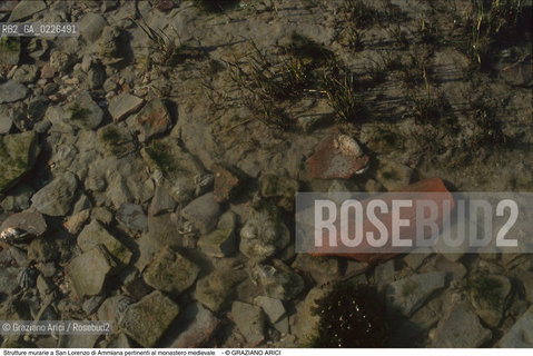 Caption: Nome:..BARENA SITO DI SAN LORENZO IN AMMIANA....Localizzazione:..VENEZIA /  LAGUNA NORD..VENICE /  THE NORTH LAGOON..Soggetto:..Strutture murarie a San Lorenzo di Ammiana pertinenti al monastero medievale TEGOLA CONCHIGLIE..ARCHEOLOGIA..Cronologia:......Autore:......Stile:......Editori Stampatori:......Committenza:......Materia e Tecnica:......Collocazione:......Note:....Riproduzione Fotografica:..Graziano Arici/Rosebud2 ...Copyright:..Graziano Arici / rosebud2/....Data:..1993....Costo:..A....Key:..ISOLE ABBANDONATE..UNINHABITED ISLANDS