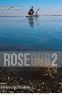 Caption: Nome:..ISOLA DI SANTARIANO....Localizzazione:..VENEZIA / ISOLA DI SANTARIANO / LAGUNA NORD..VENICE / THE ISLE OF SANTARIANO   / THE NORTH LAGOON..Soggetto:..ISOLA DI SANTARIANO /  BARCHE In navigazione verso l’isola di Sant’Ariano...ARCHEOLOGIA..Cronologia:.. ..Autore:......Stile:......Editori Stampatori:......Committenza:......Materia e Tecnica:......Collocazione:......Note:..NEL 1565 VIENE REALIZZATO UN MURO CHE RECINGE ANCORA OGGI LA PARTE DELLISOLA ALLORA DESTINATA AD OSSARIO..IN 1565 A WALL HAS BEEN BUILT TO SURROUND AN OSSUARY..Riproduzione Fotografica:..Graziano Arici/Rosebud2 ...Copyright:..Graziano Arici / rosebud2/....Data:..1993....Costo:..A....Key:..ISOLE ABBANDONATE..UNINHABITED ISLANDS