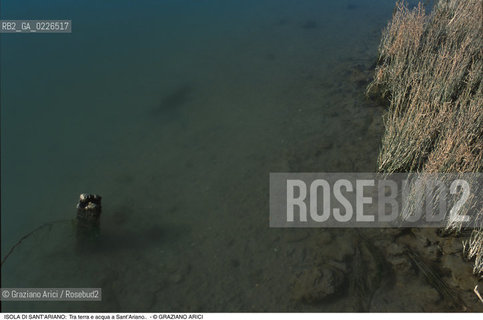 Caption: Nome:..ISOLA DI SANTARIANO....Localizzazione:..VENEZIA / ISOLA DI SANTARIANO / LAGUNA NORD..VENICE / THE ISLE OF SANTARIANO   / THE NORTH LAGOON..Soggetto:..ISOLA DI SANTARIANO /  Tra terra e acqua a Sant’Ariano. BARENA..ARCHEOLOGIA..Cronologia:....Autore:......Stile:......Editori Stampatori:......Committenza:......Materia e Tecnica:......Collocazione:......Note:..NEL 1565 VIENE REALIZZATO UN MURO CHE RECINGE ANCORA OGGI LA PARTE DELLISOLA ALLORA DESTINATA AD OSSARIO..IN 1565 A WALL HAS BEEN BUILT TO SURROUND AN OSSUARY..Riproduzione Fotografica:..Graziano Arici/Rosebud2 ...Copyright:..Graziano Arici / rosebud2/....Data:..1993....Costo:..A....Key:..ISOLE ABBANDONATE..UNINHABITED ISLANDS