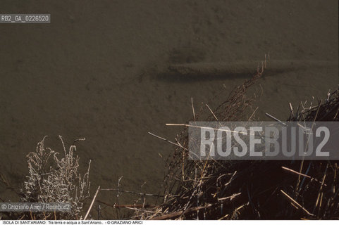 Caption: Nome:..ISOLA DI SANTARIANO....Localizzazione:..VENEZIA / ISOLA DI SANTARIANO / LAGUNA NORD..VENICE / THE ISLE OF SANTARIANO   / THE NORTH LAGOON..Soggetto:..ISOLA DI SANTARIANO /  Tra terra e acqua a Sant’Ariano BARENA..ARCHEOLOGIA..Cronologia:....Autore:......Stile:......Editori Stampatori:......Committenza:......Materia e Tecnica:......Collocazione:......Note:..NEL 1565 VIENE REALIZZATO UN MURO CHE RECINGE ANCORA OGGI LA PARTE DELLISOLA ALLORA DESTINATA AD OSSARIO..IN 1565 A WALL HAS BEEN BUILT TO SURROUND AN OSSUARY..Riproduzione Fotografica:..Graziano Arici/Rosebud2 ...Copyright:..Graziano Arici / rosebud2/....Data:..1993....Costo:..A....Key:..ISOLE ABBANDONATE..UNINHABITED ISLANDS
