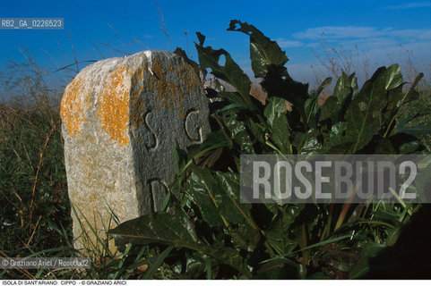 Caption: Nome:..ISOLA DI SANTARIANO....Localizzazione:..VENEZIA / ISOLA DI SANTARIANO / LAGUNA NORD..VENICE / THE ISLE OF SANTARIANO   / THE NORTH LAGOON..Soggetto:..ISOLA DI SANTARIANO / Cippo ..ARCHEOLOGIA..Cronologia:..SEC. XVI ..XVIth CENTURY ..Autore:......Stile:......Editori Stampatori:......Committenza:......Materia e Tecnica:......Collocazione:......Note:..NEL 1565 VIENE REALIZZATO UN MURO CHE RECINGE ANCORA OGGI LA PARTE DELLISOLA ALLORA DESTINATA AD OSSARIO..IN 1565 A WALL HAS BEEN BUILT TO SURROUND AN OSSUARY..Riproduzione Fotografica:..Graziano Arici/Rosebud2 ...Copyright:..Graziano Arici / rosebud2/....Data:..1993....Costo:..A....Key:..ISOLE ABBANDONATE..UNINHABITED ISLANDS