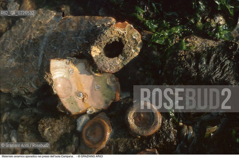 Caption: Nome:..BARENA SITO DI SAN MARCO IN BOCCALAMA....Localizzazione:..VENEZIA /  LAGUNA SUD..VENICE /  THE SOUTH LAGOON..Soggetto:..Materiale ceramico sporadico nei pressi dell’isola Campana...ARCHEOLOGIA..Cronologia:......Autore:......Stile:......Editori Stampatori:......Committenza:......Materia e Tecnica:......Collocazione:......Note:....Riproduzione Fotografica:..Graziano Arici/Rosebud2 ...Copyright:..Graziano Arici / rosebud2/....Data:..1993....Costo:..A....Key:..ISOLE ABBANDONATE..UNINHABITED ISLANDS