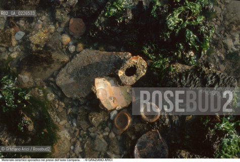 Caption: Nome:..BARENA SITO DI SAN MARCO IN BOCCALAMA....Localizzazione:..VENEZIA /  LAGUNA SUD..VENICE /  THE SOUTH LAGOON..Soggetto:..Materiale ceramico sporadico nei pressi dell’isola Campana...ARCHEOLOGIA..Cronologia:......Autore:......Stile:......Editori Stampatori:......Committenza:......Materia e Tecnica:......Collocazione:......Note:....Riproduzione Fotografica:..Graziano Arici/Rosebud2 ...Copyright:..Graziano Arici / rosebud2/....Data:..1993....Costo:..A....Key:..ISOLE ABBANDONATE..UNINHABITED ISLANDS