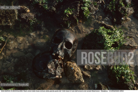 Caption: Nome:..BARENA SITO DI SAN MARCO IN BOCCALAMA....Localizzazione:..VENEZIA /  LAGUNA SUD..VENICE /  THE SOUTH LAGOON..Soggetto:..Resti umani dalla fossa comune della grande peste del 1348 messi in luce dall’erosione del canale Malamocco - Marghera..ARCHEOLOGIA..Cronologia:......Autore:......Stile:......Editori Stampatori:......Committenza:......Materia e Tecnica:......Collocazione:......Note:....Riproduzione Fotografica:..Graziano Arici/Rosebud2 ...Copyright:..Graziano Arici / rosebud2/....Data:..1993....Costo:..A....Key:..ISOLE ABBANDONATE..UNINHABITED ISLANDS