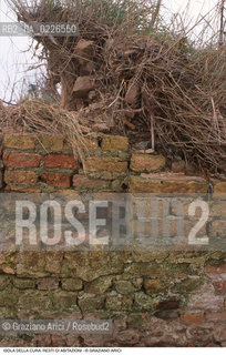 Caption: Nome:..ISOLA LA CURA....Localizzazione:..VENEZIA / ISOLA LA CURA / LAGUNA NORD..VENICE / THE ISLE OF LA CURA / THE NORTH LAGOON..Soggetto:..ISOLA LA CURA / RESTI DI UN EDIFICIO ..ISLE OF LA CURA / REMAINS OF A BUILDING ..ARCHEOLOGIA....Cronologia:......Autore:......Stile:......Editori Stampatori:......Committenza:......Materia e Tecnica:......Collocazione:......Note:..LISOLA E STATA SEDE DI ATTIVITÀ AGRICOLE E DELLA PESCA..THE ISLAND HAS BEEN USED FOR AGRICULTURAL AND  FISHING PURPOSE ..Riproduzione Fotografica:..Graziano Arici/Rosebud2 ...Copyright:..Graziano Arici / rosebud2/....Data:..1993....Costo:..A....Key:..ISOLE ABBANDONATE..UNINHABITED ISLANDS