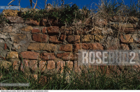 Caption: Nome:..ISOLA LA CURA....Localizzazione:..VENEZIA / ISOLA LA CURA / LAGUNA NORD..VENICE / THE ISLE OF LA CURA / THE NORTH LAGOON..Soggetto:..ISOLA LA CURA / RESTI DI UN EDIFICIO / MATTONI / MURO..ISLE OF LA CURA / REMAINS OF A BUILDING  ..ARCHEOLOGIA....Cronologia:......Autore:......Stile:......Editori Stampatori:......Committenza:......Materia e Tecnica:......Collocazione:......Note:..LISOLA E STATA SEDE DI ATTIVITÀ AGRICOLE E DELLA PESCA..THE ISLAND HAS BEEN USED FOR AGRICULTURAL AND  FISHING PURPOSE ..Riproduzione Fotografica:..Graziano Arici/Rosebud2 ...Copyright:..Graziano Arici / rosebud2/....Data:..1993....Costo:..A....Key:..ISOLE ABBANDONATE..UNINHABITED ISLANDS