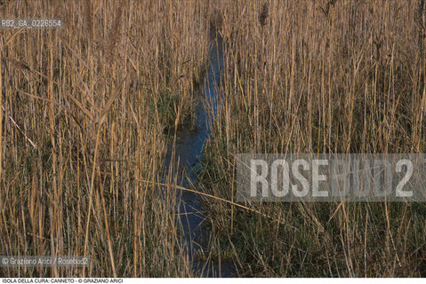 Caption: Nome:..ISOLA LA CURA....Localizzazione:..VENEZIA / ISOLA LA CURA / LAGUNA NORD..VENICE / THE ISLE OF LA CURA / THE NORTH LAGOON..Soggetto:..ISOLA LA CURA CANNETO..ISLE OF LA CURA..Cronologia:......Autore:......Stile:......Editori Stampatori:......Committenza:......Materia e Tecnica:......Collocazione:......Note:..LISOLA E STATA SEDE DI ATTIVITÀ AGRICOLE E DELLA PESCA..THE ISLAND HAS BEEN USED FOR AGRICULTURAL AND  FISHING PURPOSE ..Riproduzione Fotografica:..Graziano Arici/Rosebud2 ...Copyright:..Graziano Arici / rosebud2/....Data:..1993....Costo:..A....Key:..ISOLE ABBANDONATE..UNINHABITED ISLANDS