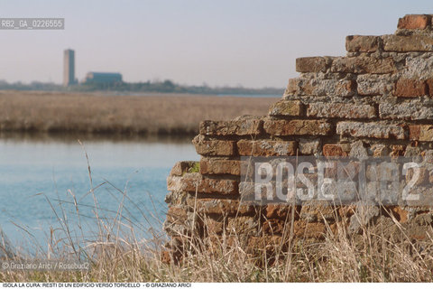 Caption: Nome:..ISOLA LA CURA....Localizzazione:..VENEZIA / ISOLA LA CURA / LAGUNA NORD..VENICE / THE ISLE OF LA CURA / THE NORTH LAGOON..Soggetto:..ISOLA LA CURA / RESTI DI UN EDIFICIO VERSO TORCELLO..ISLE OF LA CURA / REMAINS OF A BUILDING  ..ARCHEOLOGIA....Cronologia:......Autore:......Stile:......Editori Stampatori:......Committenza:......Materia e Tecnica:......Collocazione:......Note:..LISOLA E STATA SEDE DI ATTIVITÀ AGRICOLE E DELLA PESCA..THE ISLAND HAS BEEN USED FOR AGRICULTURAL AND  FISHING PURPOSE ..Riproduzione Fotografica:..Graziano Arici/Rosebud2 ...Copyright:..Graziano Arici / rosebud2/....Data:..1993....Costo:..A....Key:..ISOLE ABBANDONATE..UNINHABITED ISLANDS
