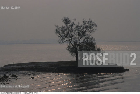 Caption: Nome:..ISOLA DI SAN GIACOMO IN PALUDO ....Localizzazione:..VENEZIA / ISOLA DI SAN  GIACOMO IN PALUDO / LAGUNA NORD..VENICE / THE ISLE OF SAN GIACOMO IN PALUDO / THE NORTH LAGOON..Soggetto:..ISOLA DI SAN GIACOMO IN PALUDO / RESTI DI UN EDIFICIO ALBERO..THE ISLE OF SAN GIACOMO IN PALUDO  / REMAINS OF A BUILDING ..Cronologia:......Autore:......Stile:......Editori Stampatori:......Committenza:......Materia e Tecnica:......Collocazione:......Note:..DAL 1860 VENNE UTILIZZATA COME POLVERIERA..SINCE1860 THE ISLE WAS USED AS A POWDER MAGAZINE ..Riproduzione Fotografica:..Graziano Arici/Rosebud2 ...Copyright:..Graziano Arici / rosebud2/....Data:..1993....Costo:..A....Key:..ISOLE ABBANDONATE..UNINHABITED ISLANDS