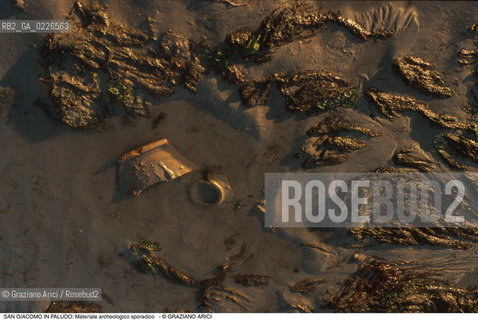 Caption: Nome:..ISOLA DI SAN GIACOMO IN PALUDO ....Localizzazione:..VENEZIA / ISOLA DI SAN  GIACOMO IN PALUDO / LAGUNA NORD..VENICE / THE ISLE OF SAN GIACOMO IN PALUDO / THE NORTH LAGOON..Soggetto:..ISOLA DI SAN GIACOMO IN PALUDO / Materiale archeologico sporadico a San Giacomo in Paludo ALGHE..ARCHEOLOGIA..Cronologia:......Autore:......Stile:......Editori Stampatori:......Committenza:......Materia e Tecnica:......Collocazione:......Note:..DAL 1860 VENNE UTILIZZATA COME POLVERIERA..SINCE1860 THE ISLE WAS USED AS A POWDER MAGAZINE ..Riproduzione Fotografica:..Graziano Arici/Rosebud2 ...Copyright:..Graziano Arici / rosebud2/....Data:..1993....Costo:..A....Key:..ISOLE ABBANDONATE..UNINHABITED ISLANDS