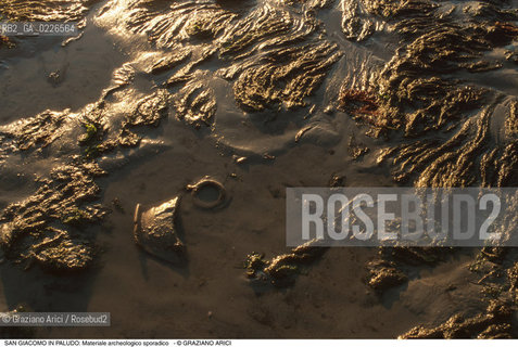 Caption: Nome:..ISOLA DI SAN GIACOMO IN PALUDO ....Localizzazione:..VENEZIA / ISOLA DI SAN  GIACOMO IN PALUDO / LAGUNA NORD..VENICE / THE ISLE OF SAN GIACOMO IN PALUDO / THE NORTH LAGOON..Soggetto:..ISOLA DI SAN GIACOMO IN PALUDO / Materiale archeologico sporadico a San Giacomo in Paludo ALGHE..ARCHEOLOGIA..Cronologia:......Autore:......Stile:......Editori Stampatori:......Committenza:......Materia e Tecnica:......Collocazione:......Note:..DAL 1860 VENNE UTILIZZATA COME POLVERIERA..SINCE1860 THE ISLE WAS USED AS A POWDER MAGAZINE ..Riproduzione Fotografica:..Graziano Arici/Rosebud2 ...Copyright:..Graziano Arici / rosebud2/....Data:..1993....Costo:..A....Key:..ISOLE ABBANDONATE..UNINHABITED ISLANDS