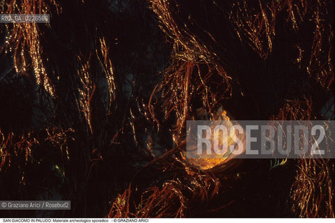 Caption: Nome:..ISOLA DI SAN GIACOMO IN PALUDO ....Localizzazione:..VENEZIA / ISOLA DI SAN  GIACOMO IN PALUDO / LAGUNA NORD..VENICE / THE ISLE OF SAN GIACOMO IN PALUDO / THE NORTH LAGOON..Soggetto:..ISOLA DI SAN GIACOMO IN PALUDO / Materiale archeologico sporadico a San Giacomo in Paludo ALGHE..ARCHEOLOGIA..Cronologia:......Autore:......Stile:......Editori Stampatori:......Committenza:......Materia e Tecnica:......Collocazione:......Note:..DAL 1860 VENNE UTILIZZATA COME POLVERIERA..SINCE1860 THE ISLE WAS USED AS A POWDER MAGAZINE ..Riproduzione Fotografica:..Graziano Arici/Rosebud2 ...Copyright:..Graziano Arici / rosebud2/....Data:..1993....Costo:..A....Key:..ISOLE ABBANDONATE..UNINHABITED ISLANDS