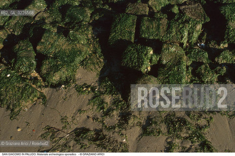 Caption: Nome:..ISOLA DI SAN GIACOMO IN PALUDO ....Localizzazione:..VENEZIA / ISOLA DI SAN  GIACOMO IN PALUDO / LAGUNA NORD..VENICE / THE ISLE OF SAN GIACOMO IN PALUDO / THE NORTH LAGOON..Soggetto:..ISOLA DI SAN GIACOMO IN PALUDO / Materiale archeologico sporadico a San Giacomo in Paludo..ARCHEOLOGIA..Cronologia:......Autore:......Stile:......Editori Stampatori:......Committenza:......Materia e Tecnica:......Collocazione:......Note:..DAL 1860 VENNE UTILIZZATA COME POLVERIERA..SINCE1860 THE ISLE WAS USED AS A POWDER MAGAZINE ..Riproduzione Fotografica:..Graziano Arici/Rosebud2 ...Copyright:..Graziano Arici / rosebud2/....Data:..1993....Costo:..A....Key:..ISOLE ABBANDONATE..UNINHABITED ISLANDS