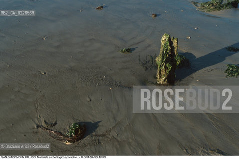 Caption: Nome:..ISOLA DI SAN GIACOMO IN PALUDO ....Localizzazione:..VENEZIA / ISOLA DI SAN  GIACOMO IN PALUDO / LAGUNA NORD..VENICE / THE ISLE OF SAN GIACOMO IN PALUDO / THE NORTH LAGOON..Soggetto:..ISOLA DI SAN GIACOMO IN PALUDO / Materiale archeologico sporadico a San Giacomo in Paludo..ARCHEOLOGIA..Cronologia:......Autore:......Stile:......Editori Stampatori:......Committenza:......Materia e Tecnica:......Collocazione:......Note:..DAL 1860 VENNE UTILIZZATA COME POLVERIERA..SINCE1860 THE ISLE WAS USED AS A POWDER MAGAZINE ..Riproduzione Fotografica:..Graziano Arici/Rosebud2 ...Copyright:..Graziano Arici / rosebud2/....Data:..1993....Costo:..A....Key:..ISOLE ABBANDONATE..UNINHABITED ISLANDS