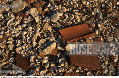 Caption: Nome:..ISOLA DI SAN GIACOMO IN PALUDO ....Localizzazione:..VENEZIA / ISOLA DI SAN  GIACOMO IN PALUDO / LAGUNA NORD..VENICE / THE ISLE OF SAN GIACOMO IN PALUDO / THE NORTH LAGOON..Soggetto:..ISOLA DI SAN GIACOMO IN PALUDO / Materiale archeologico sporadico a San Giacomo in Paludo TEGOLA CONCHIGLIE..ARCHEOLOGIA..Cronologia:......Autore:......Stile:......Editori Stampatori:......Committenza:......Materia e Tecnica:......Collocazione:......Note:..DAL 1860 VENNE UTILIZZATA COME POLVERIERA..SINCE1860 THE ISLE WAS USED AS A POWDER MAGAZINE ..Riproduzione Fotografica:..Graziano Arici/Rosebud2 ...Copyright:..Graziano Arici / rosebud2/....Data:..1993....Costo:..A....Key:..ISOLE ABBANDONATE..UNINHABITED ISLANDS
