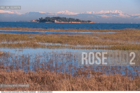 Caption: Nome:..ISOLA DI SAN GIACOMO IN PALUDO ....Localizzazione:..VENEZIA / ISOLA DI SAN  GIACOMO IN PALUDO / LAGUNA NORD..VENICE / THE ISLE OF SAN GIACOMO IN PALUDO / THE NORTH LAGOON..Soggetto:..ISOLA DI SAN GIACOMO IN PALUDO /  BARENE MONTAGNE..ARCHEOLOGIA..Cronologia:......Autore:......Stile:......Editori Stampatori:......Committenza:......Materia e Tecnica:......Collocazione:......Note:..DAL 1860 VENNE UTILIZZATA COME POLVERIERA..SINCE1860 THE ISLE WAS USED AS A POWDER MAGAZINE ..Riproduzione Fotografica:..Graziano Arici/Rosebud2 ...Copyright:..Graziano Arici / rosebud2/....Data:..1993....Costo:..A....Key:..ISOLE ABBANDONATE..UNINHABITED ISLANDS