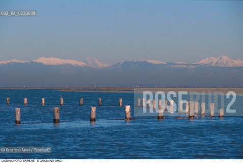 Caption: Localizzazione:..VENEZIA / LAGUNA NORD..Oggetto:..Soggetto:..VERSO BURANO BARENE PALI MONTAGNE..Cronologia: ....Definizione Culturale:..   Autore: ..   Stile: ..   Editori/Stampatori:..   Committenza:..Materia e Tecnica:..Collocazione:..Note:....Riproduzione Fotografica:..Graziano Arici/Rosebud2 .Copyright:..Graziano Arici/Rosebud2 .Data:..1995..Costo:..A